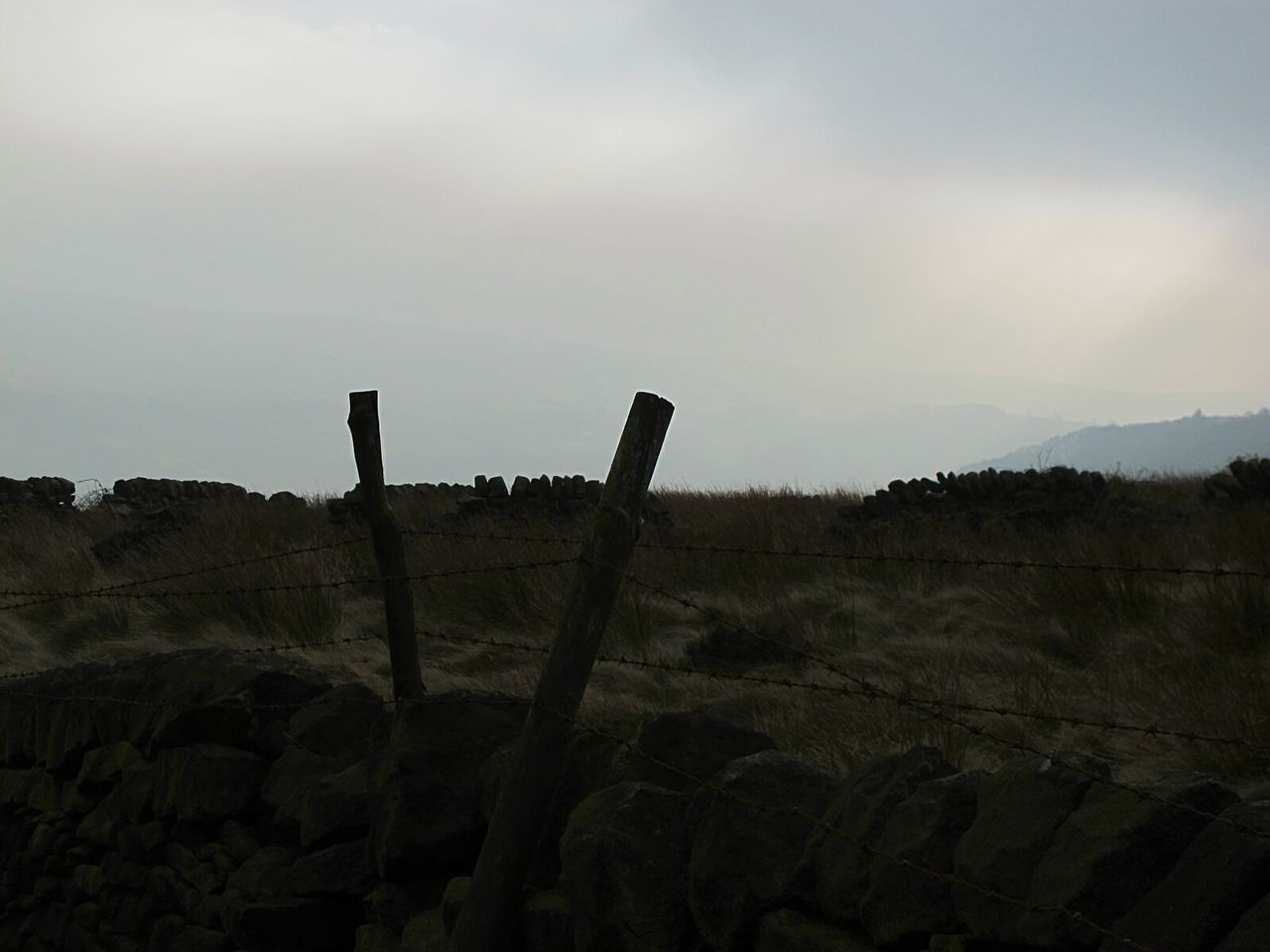 FIELD AGAINST SKY