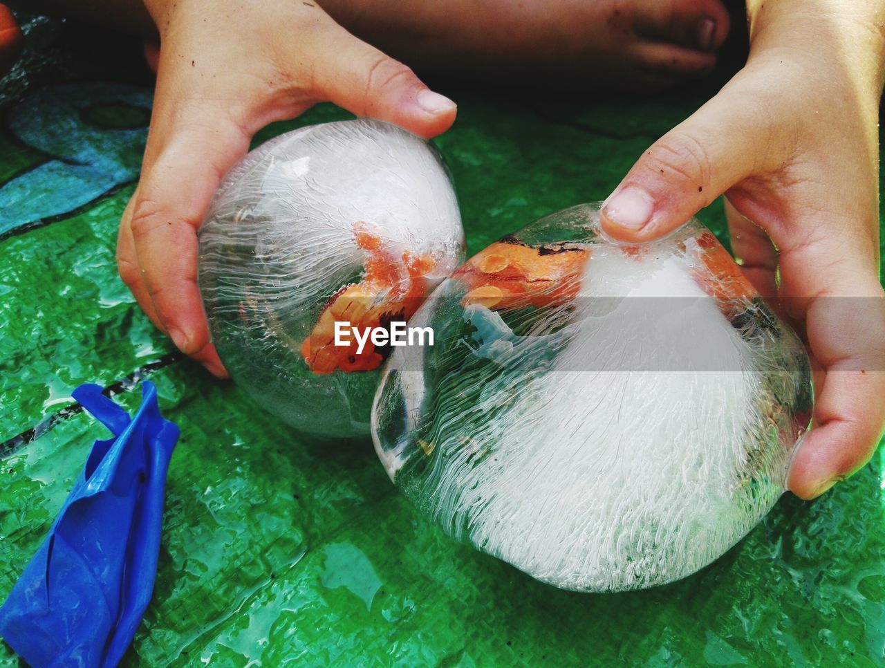 CLOSE-UP OF HAND HOLDING FISH WITH FISHES