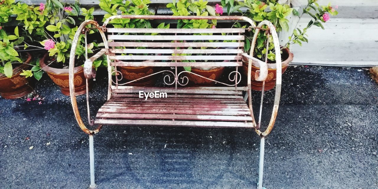 HIGH ANGLE VIEW OF POTTED PLANTS ON EMPTY CHAIR