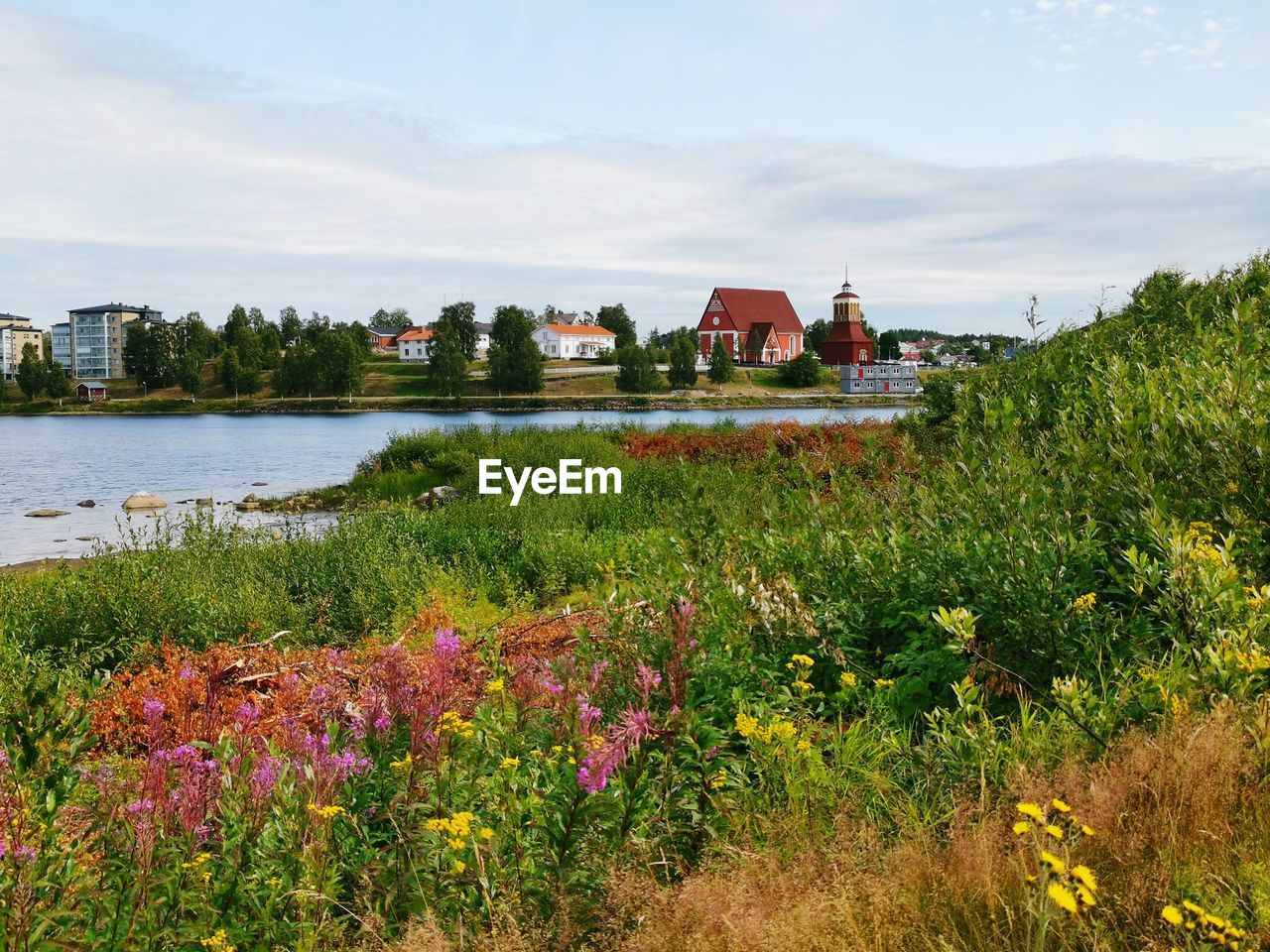 Scenic view of grassy field by buildings against sky