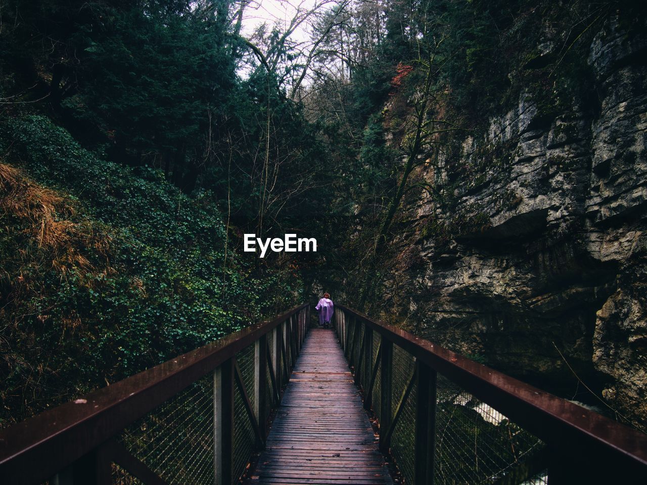 Woman walking on footbridge in forest