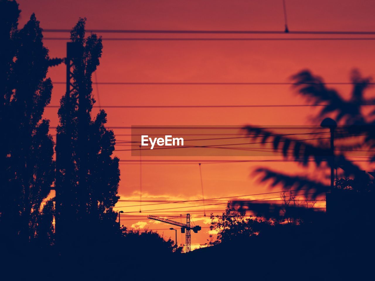 LOW ANGLE VIEW OF SILHOUETTE TREES AND ELECTRICITY PYLON AGAINST SKY