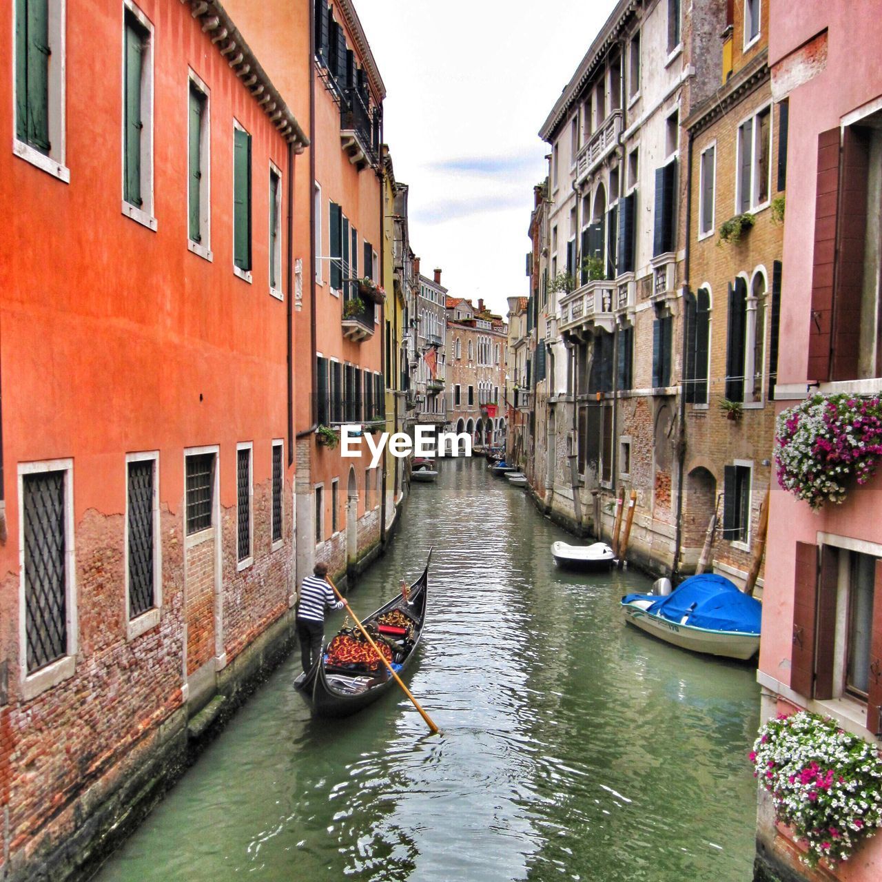 Rear view of man sailing gondola in canal amidst buildings