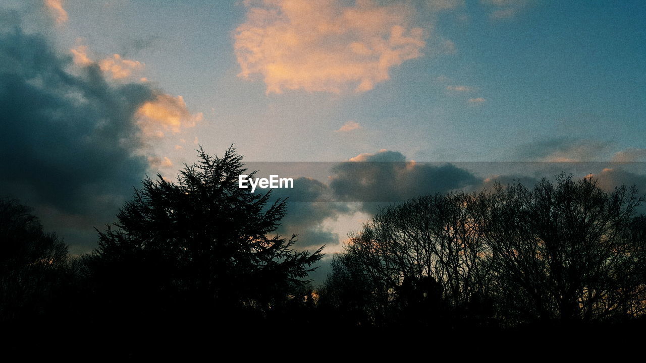 Low angle view of silhouette trees on field against cloudy sky at sunset