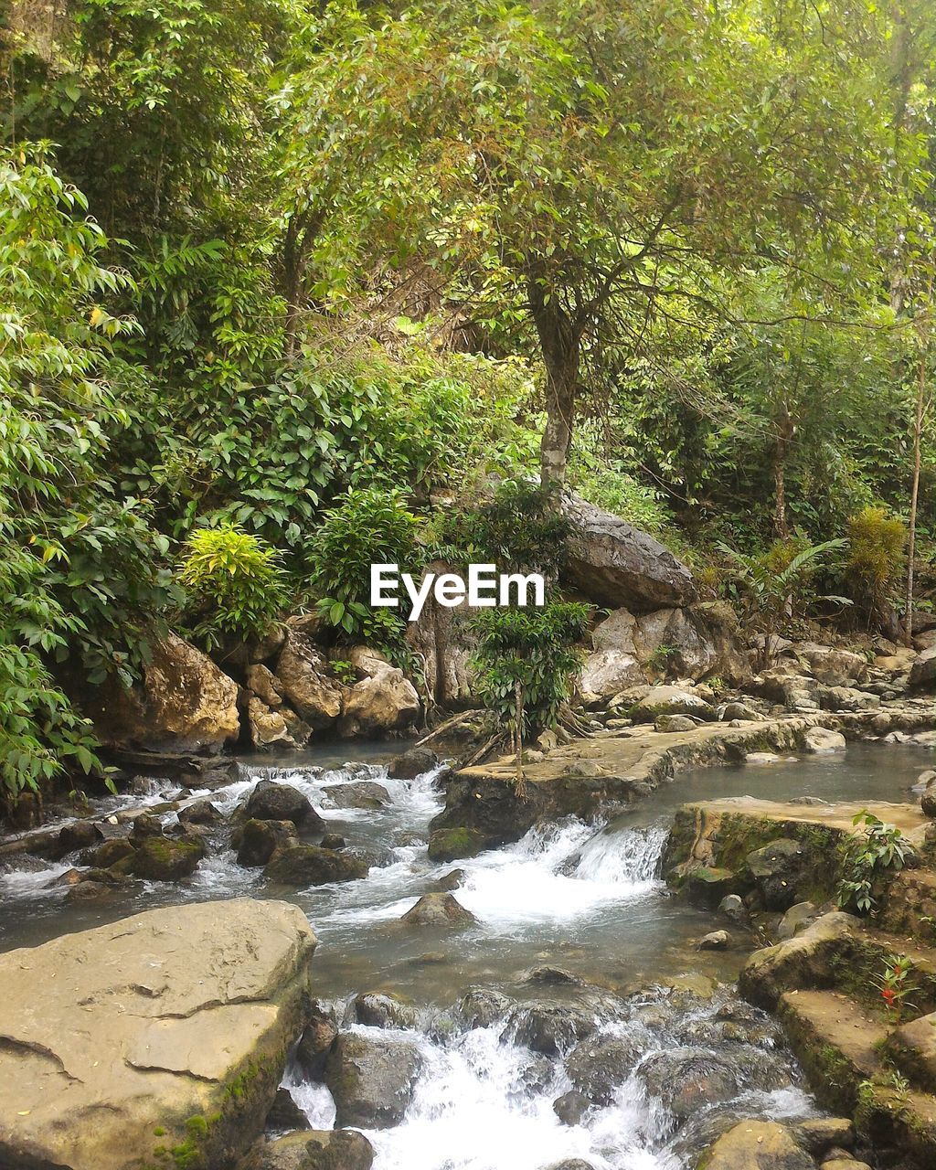 CLOSE-UP OF WATER FLOWING IN PARK