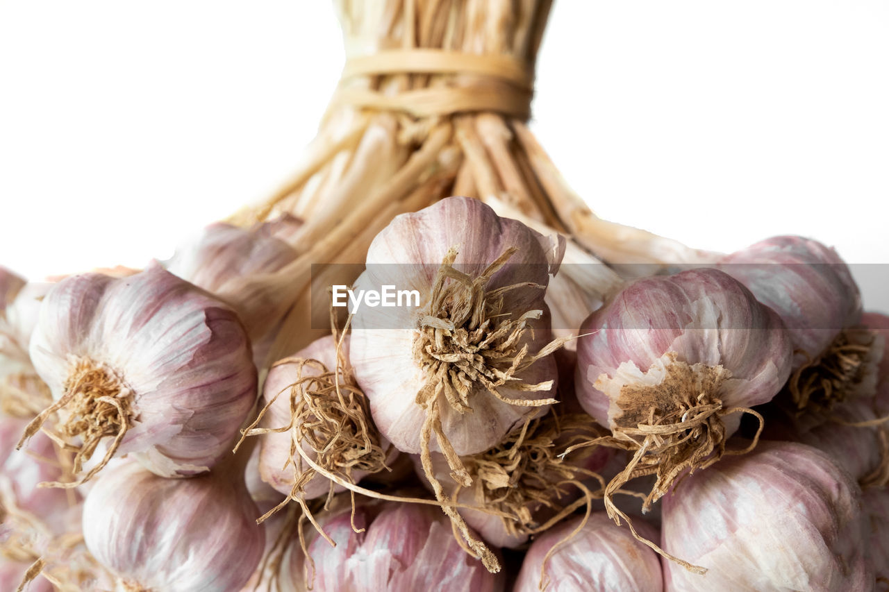 CLOSE-UP OF ONIONS