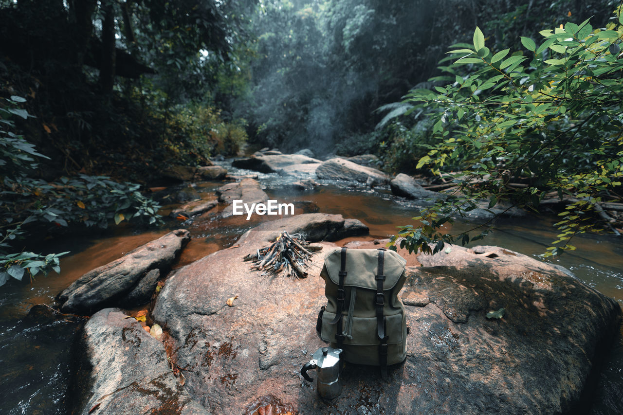 View of horse standing on rock by river in forest