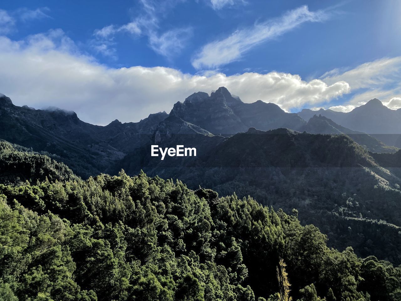 mountain, environment, nature, scenics - nature, sky, landscape, beauty in nature, mountain range, cloud, tree, plant, land, forest, wilderness, coniferous tree, pinaceae, travel, pine tree, ridge, travel destinations, valley, no people, tranquility, outdoors, non-urban scene, tourism, pine woodland, tranquil scene, mountain peak, activity, high up, blue, summer, plateau, sunlight, idyllic, day, green, rural scene, leisure activity, woodland, holiday, social issues, vacation