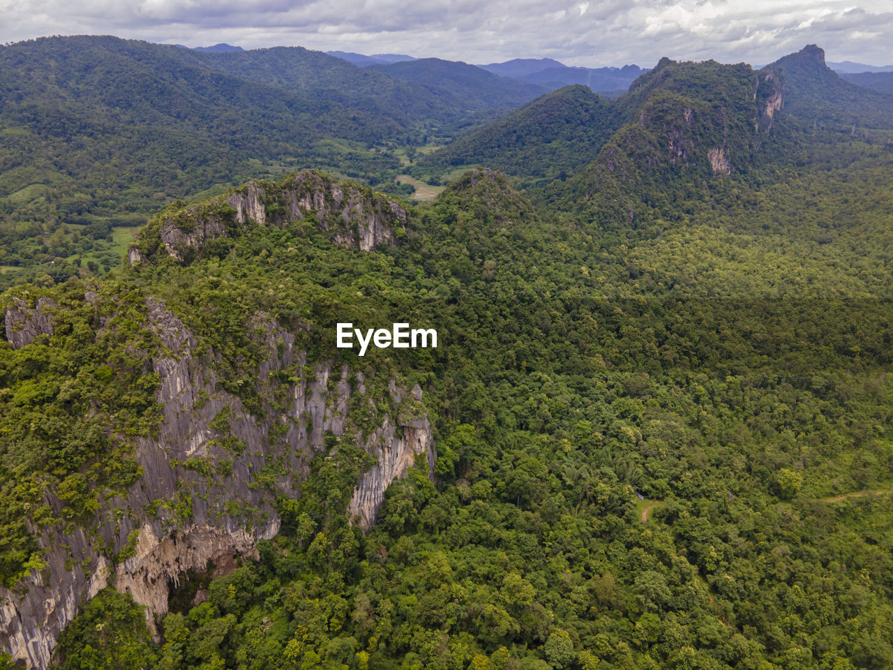 HIGH ANGLE VIEW OF TREES AND MOUNTAINS