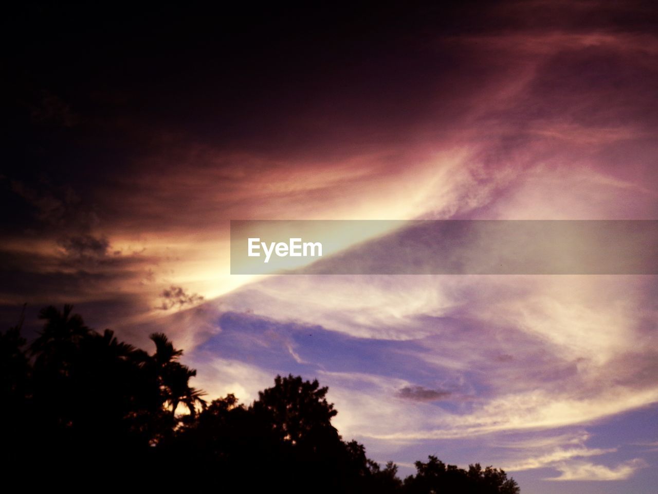 SCENIC VIEW OF SILHOUETTE TREES AGAINST SKY