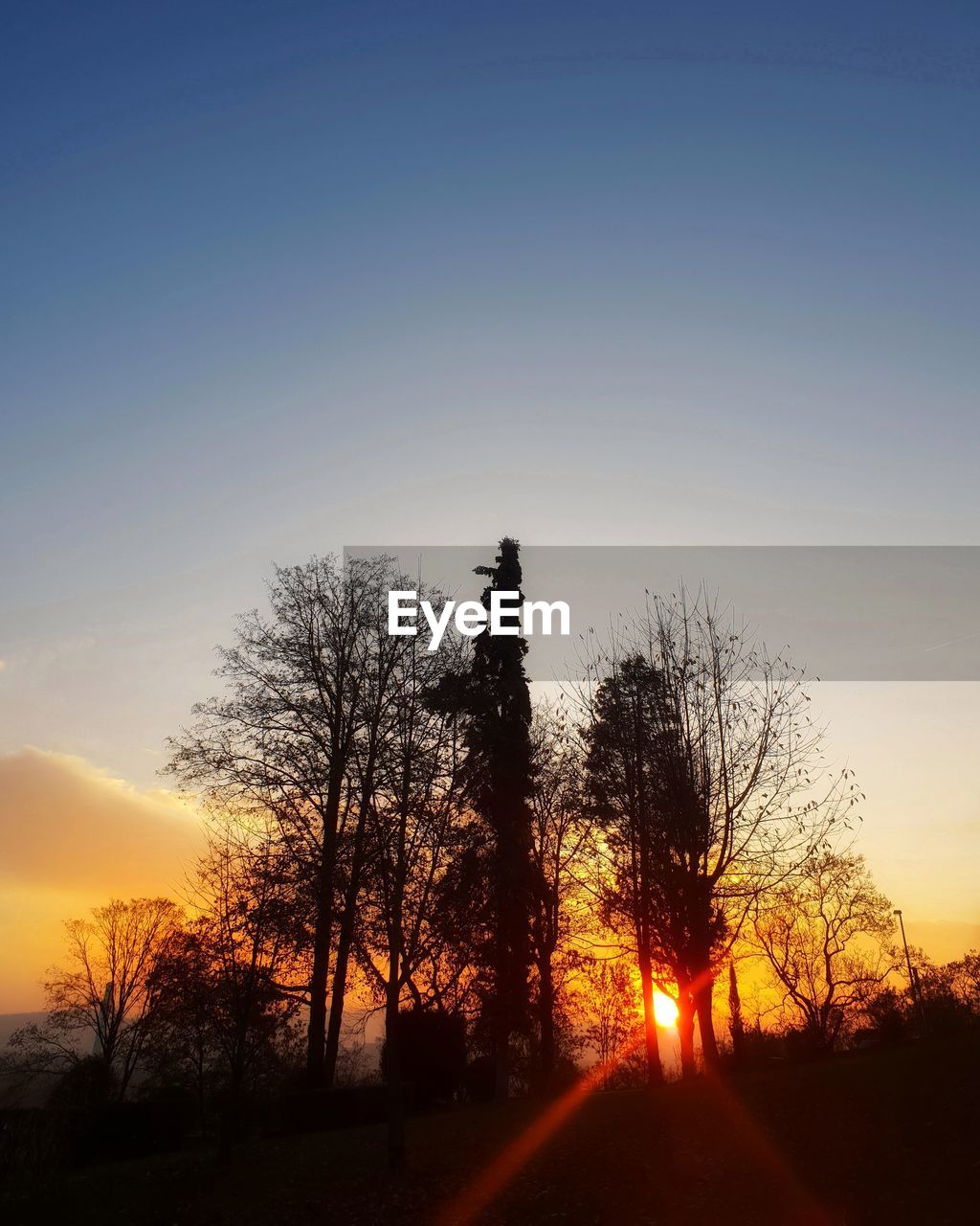 SILHOUETTE TREES ON FIELD AGAINST SKY AT SUNSET