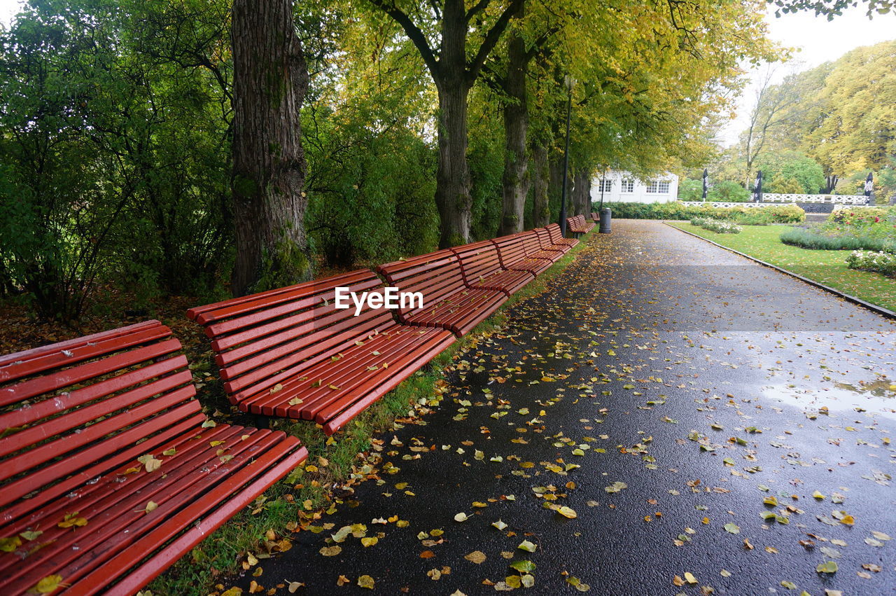 Surface level of empty road in park