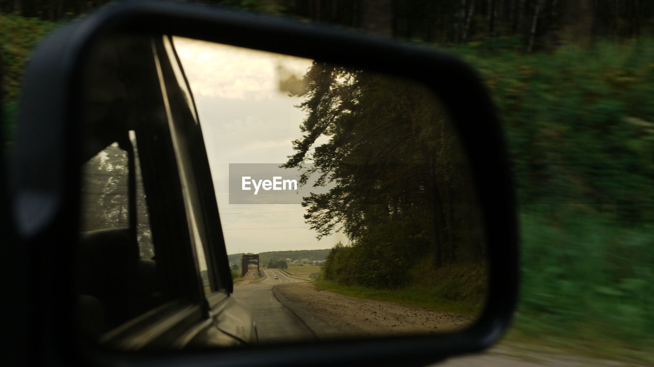 REFLECTION OF TREES ON GLASS WINDOW