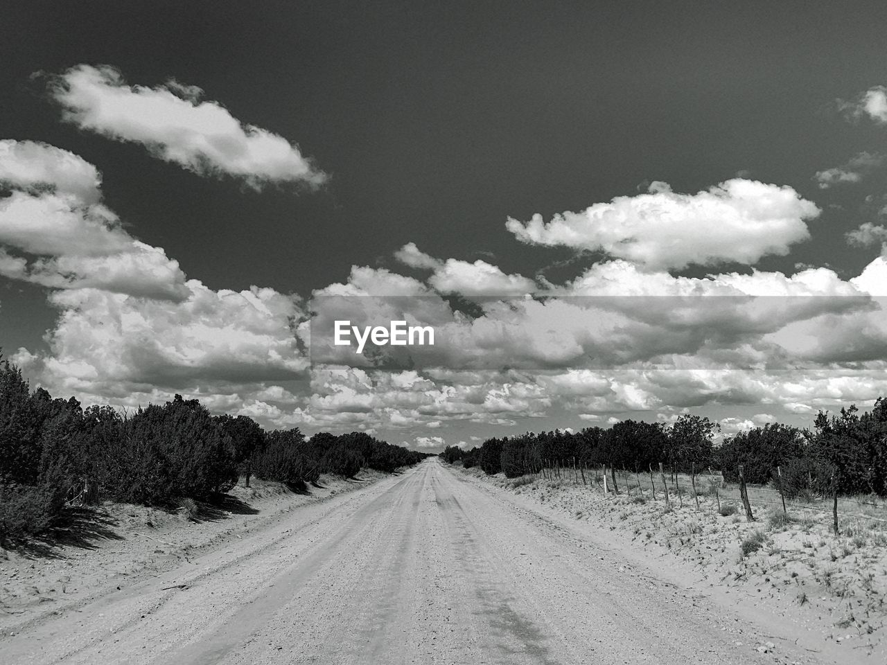 Road amidst trees against sky