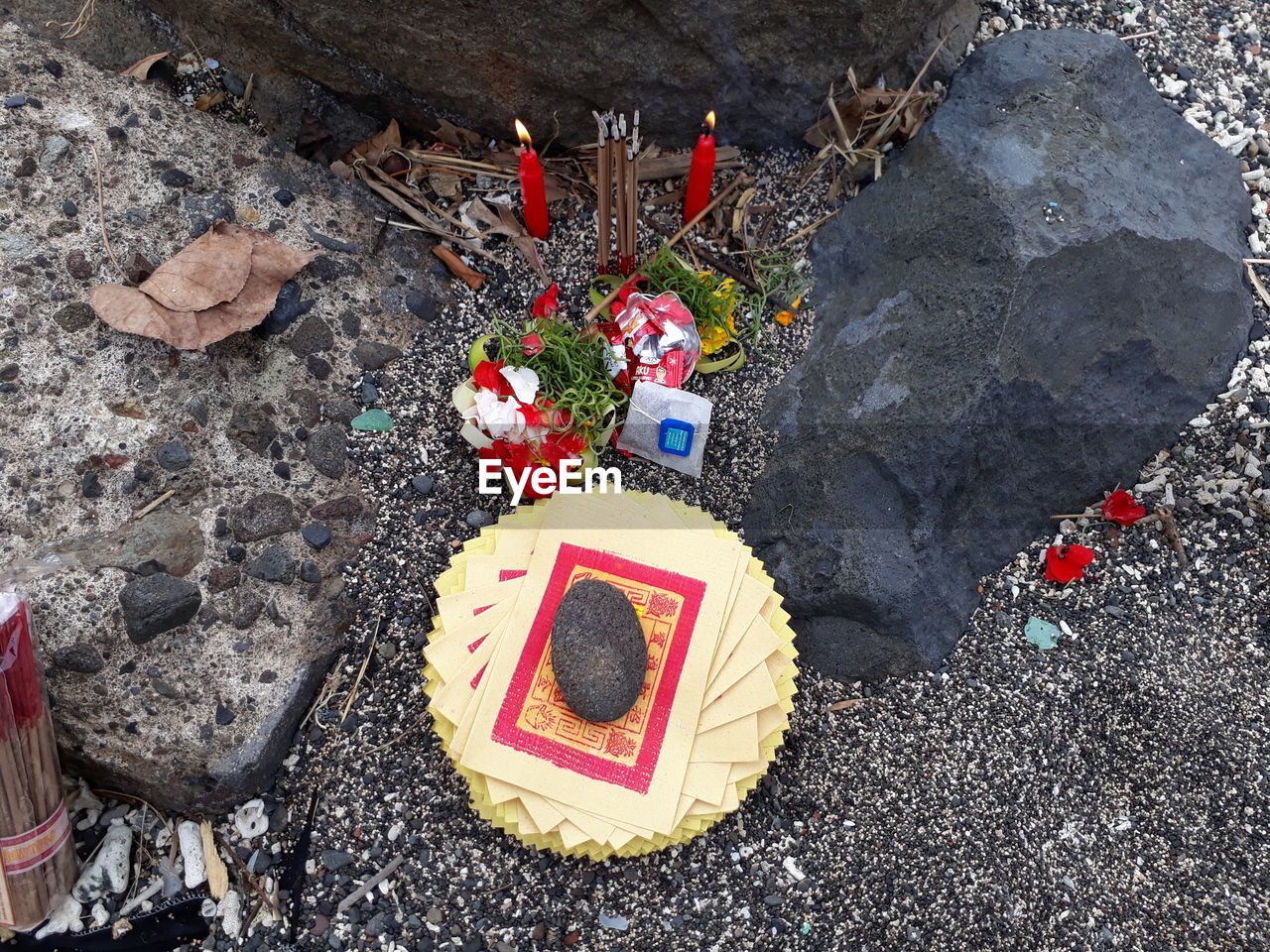 HIGH ANGLE VIEW OF VARIOUS FLOWERS ON ROCK IN BACKGROUND