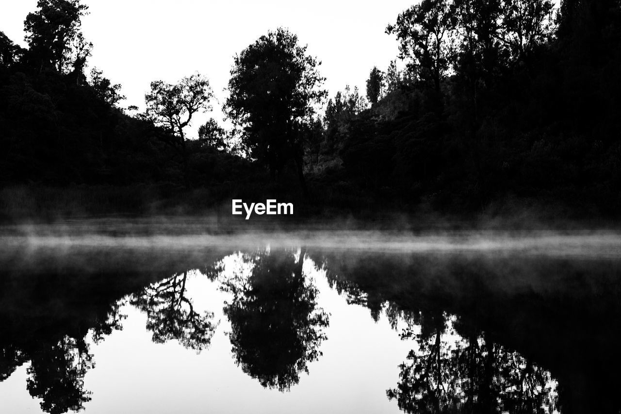 REFLECTION OF TREES IN LAKE AGAINST SKY AT FOREST