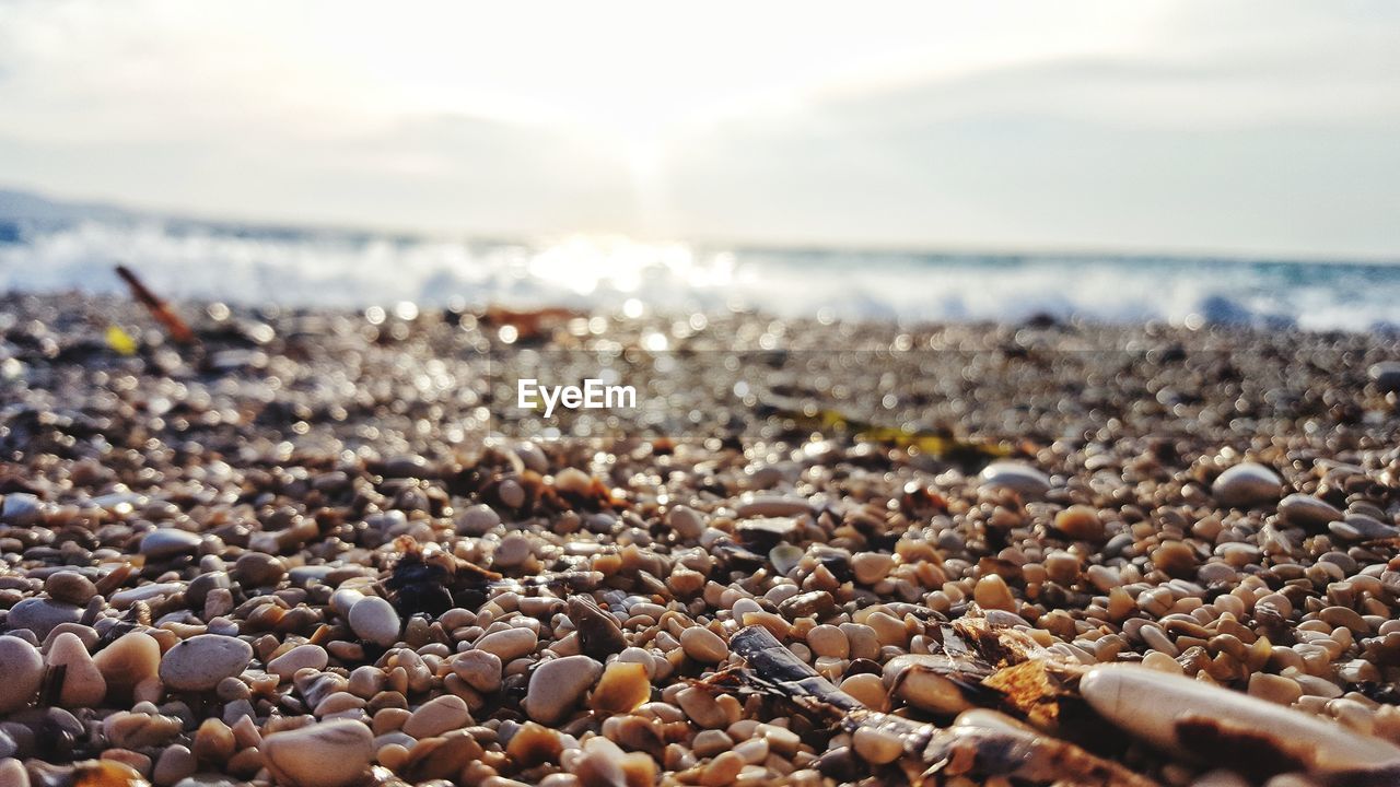 Close-up of pebbles on beach against sky