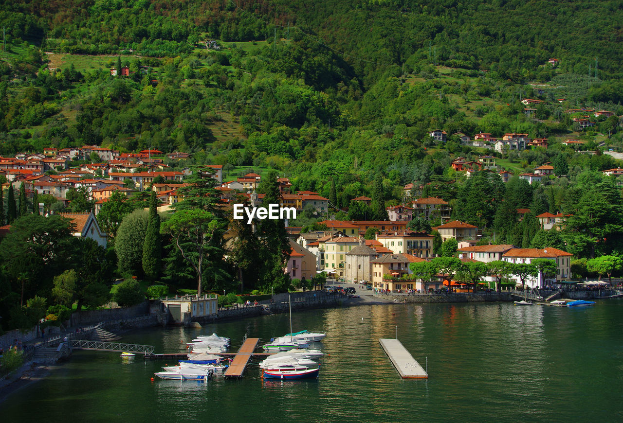 Lake with built structures against lush foliage