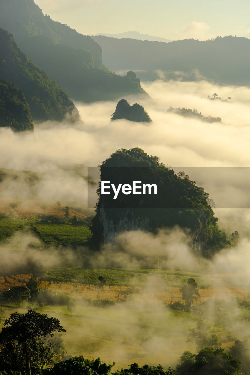 Scenic view of fog covered forest by mountains against sky