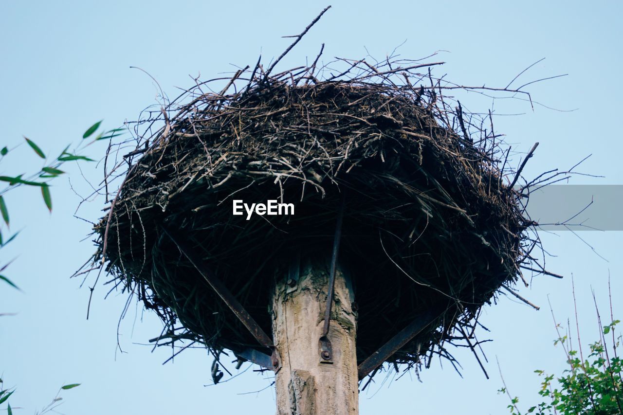 Low angle view of nest on wooden post against sky