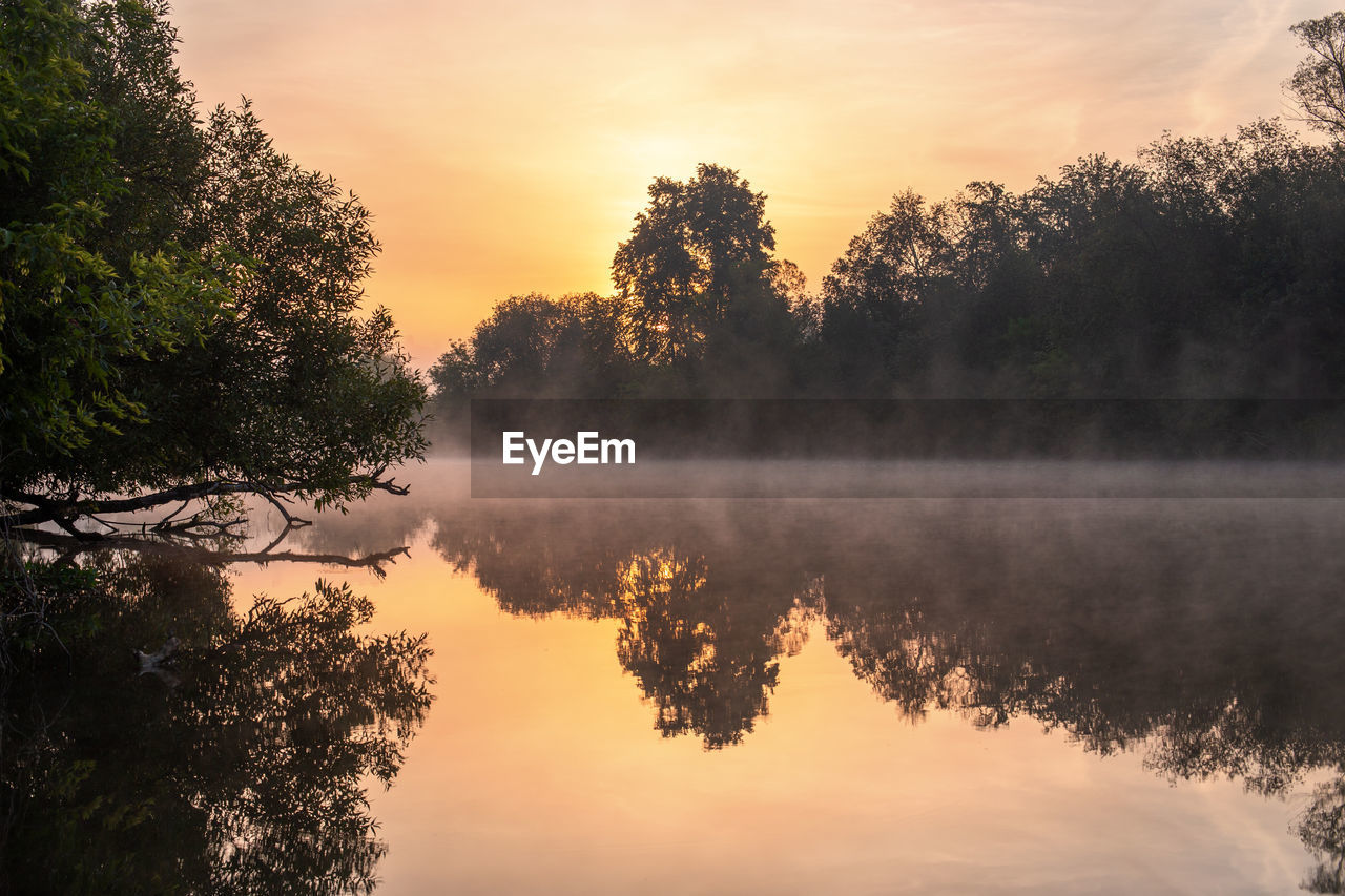 Trees by lake against sky during foggy sunrise at summer