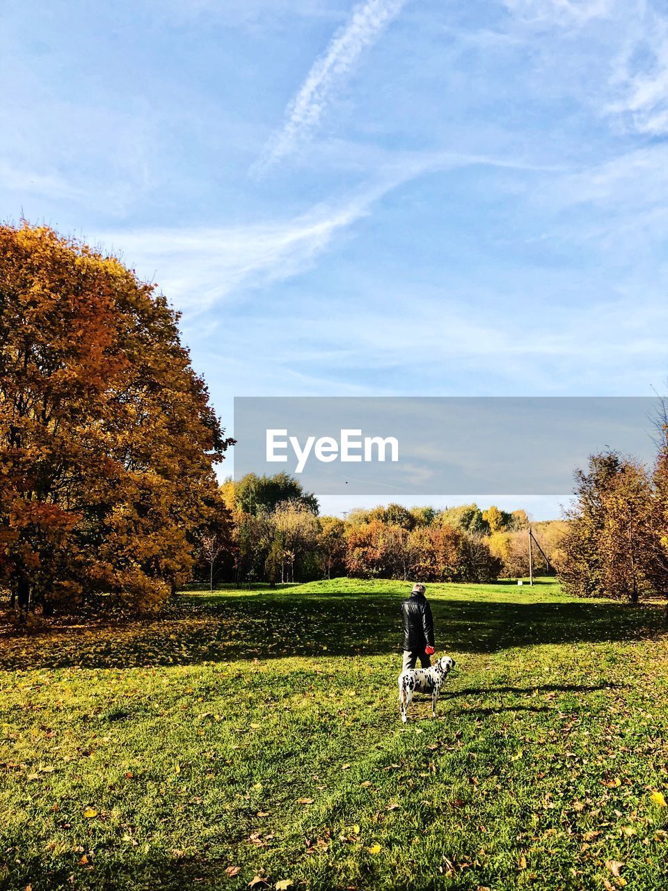 MAN ON FIELD DURING AUTUMN