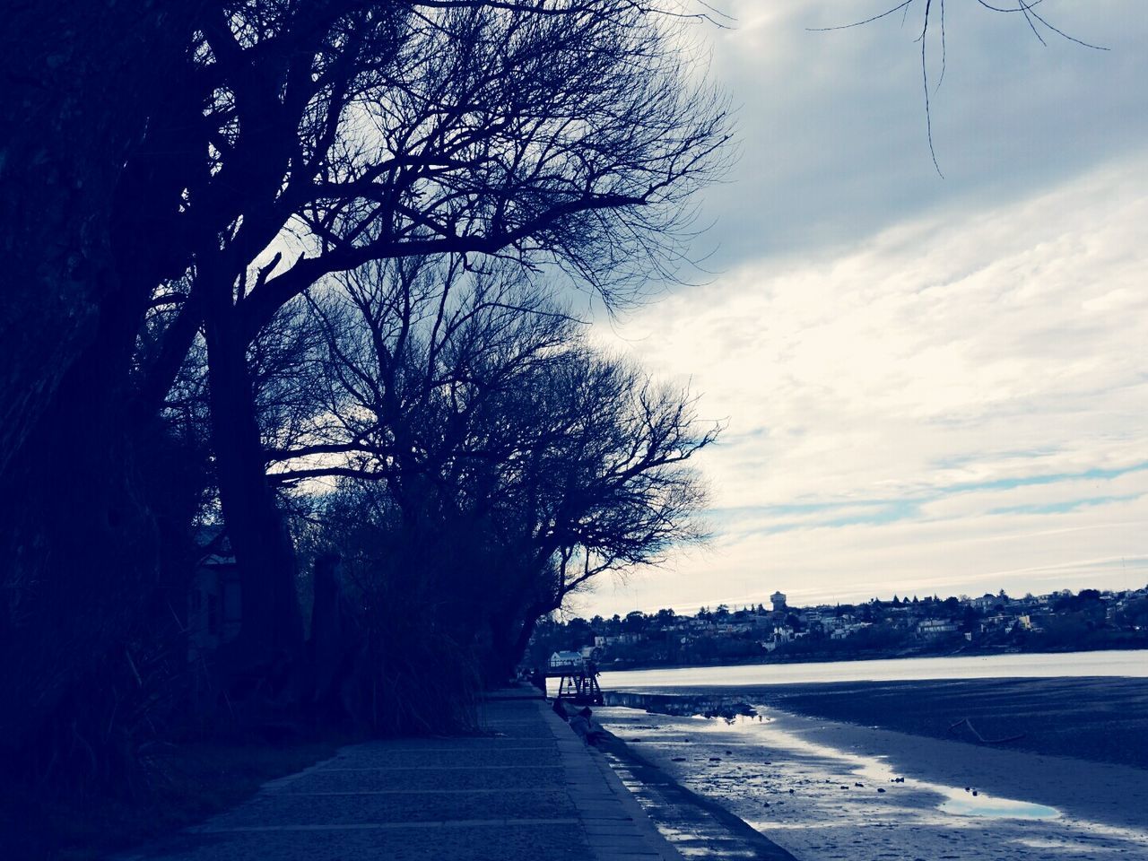 ROAD AMIDST TREES AGAINST SKY DURING WINTER