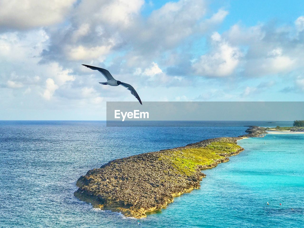 BIRDS ON SEA AGAINST SKY