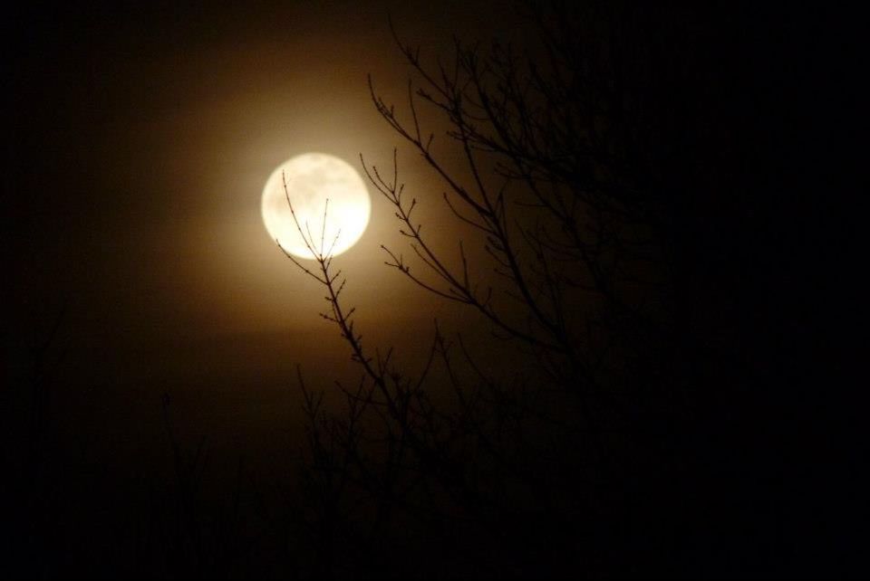 LOW ANGLE VIEW OF STREET LIGHT AGAINST SKY AT NIGHT