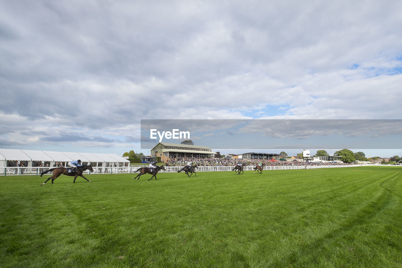 Horse racing on grassy field against cloudy sky