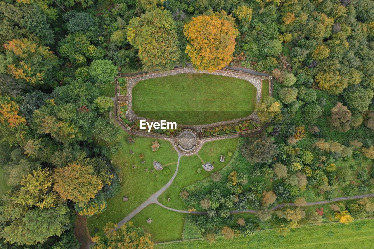 HIGH ANGLE VIEW OF PLANTS ON FIELD