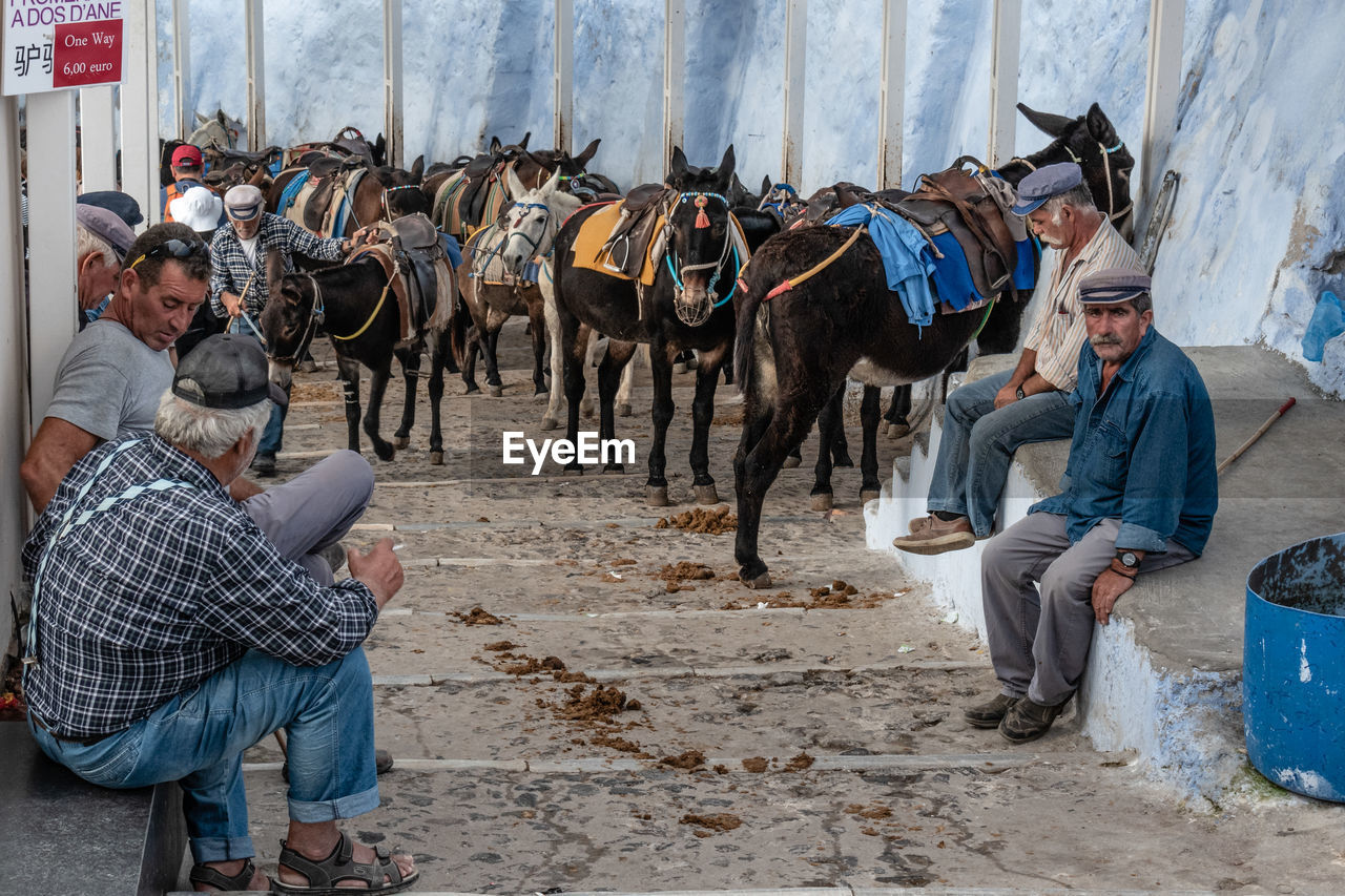 GROUP OF PEOPLE AT AN ANIMAL