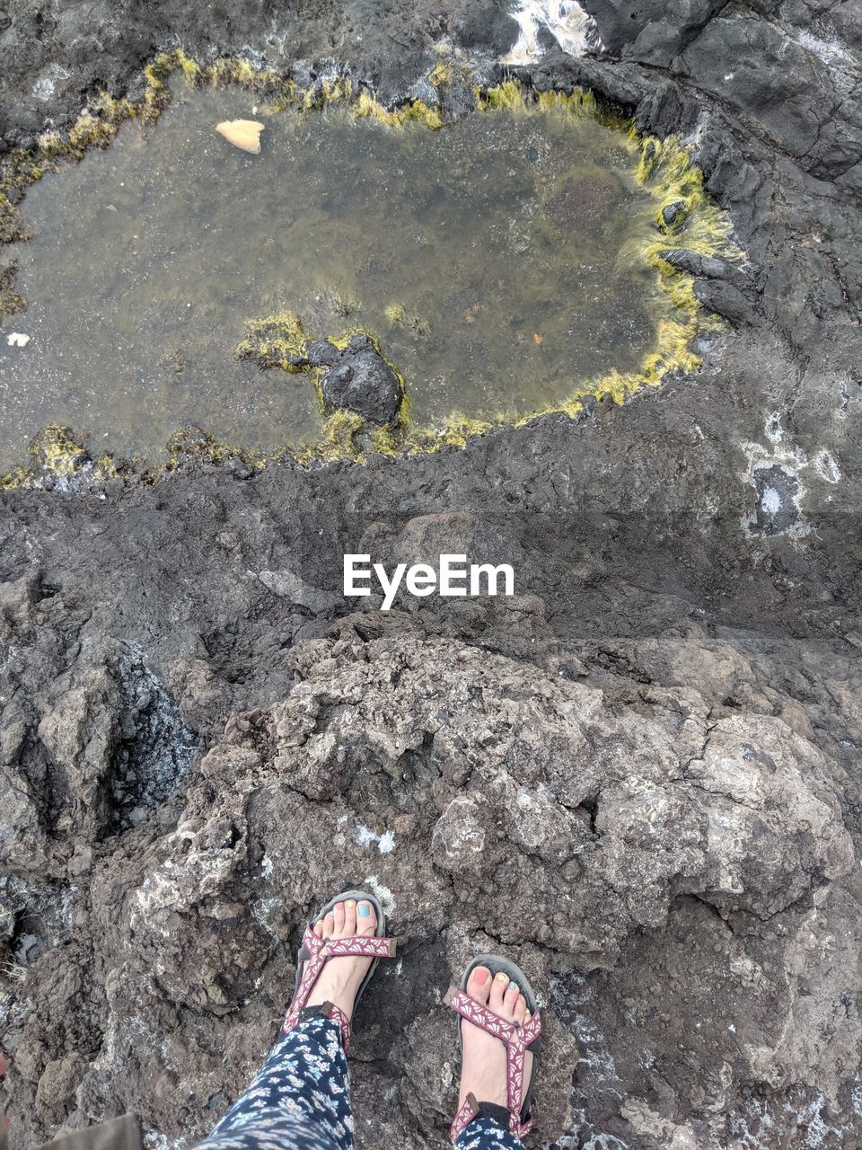 low section, human leg, high angle view, soil, shoe, one person, geology, personal perspective, day, rock, standing, lifestyles, leisure activity, nature, land, directly above, human foot, outdoors, asphalt, beach, women, water, men, casual clothing