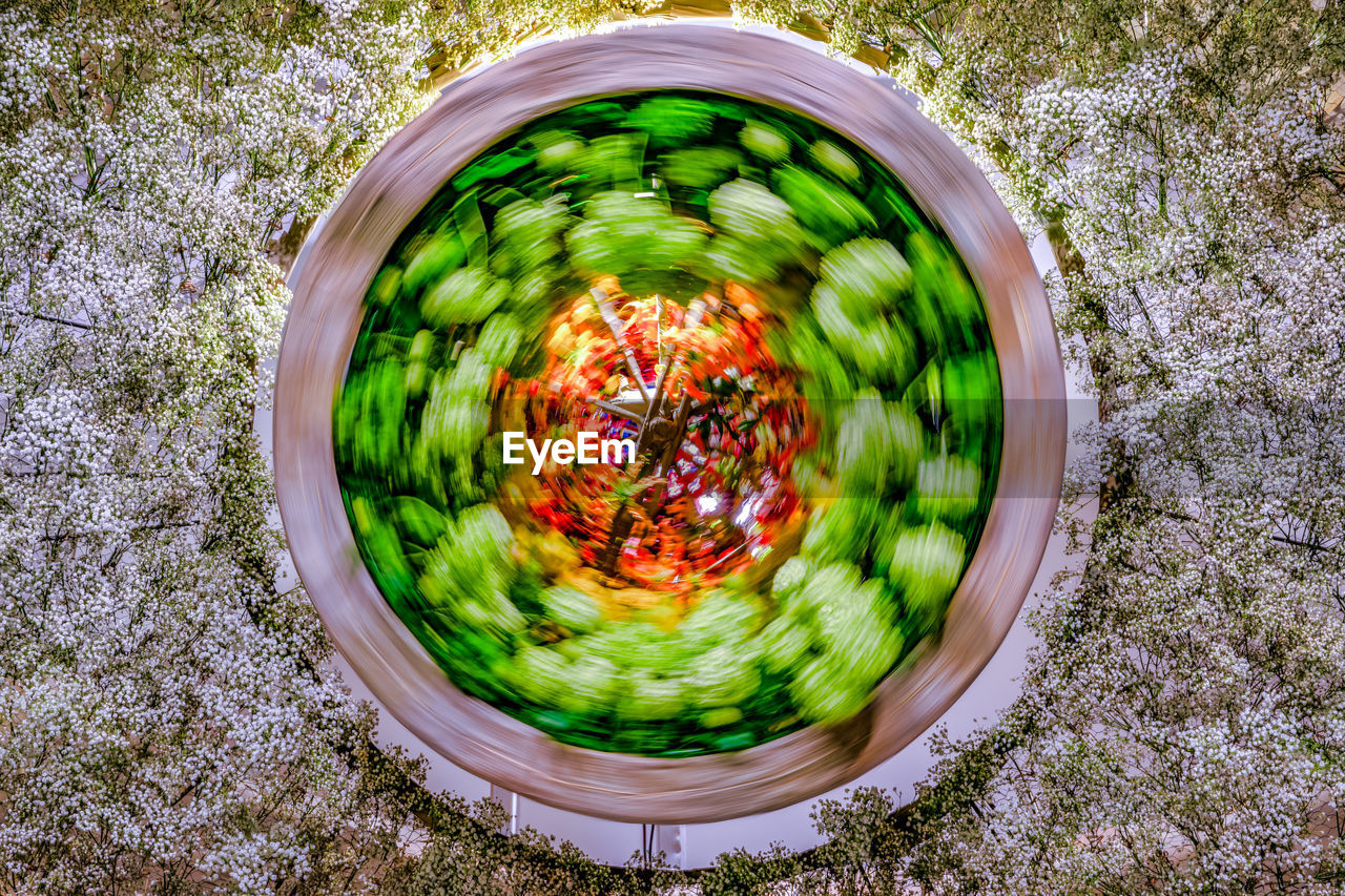 HIGH ANGLE VIEW OF VEGETABLES IN CONTAINER ON GREEN PLANTS