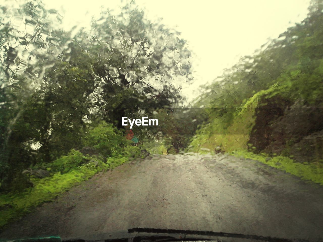 Road seen through wet windshield