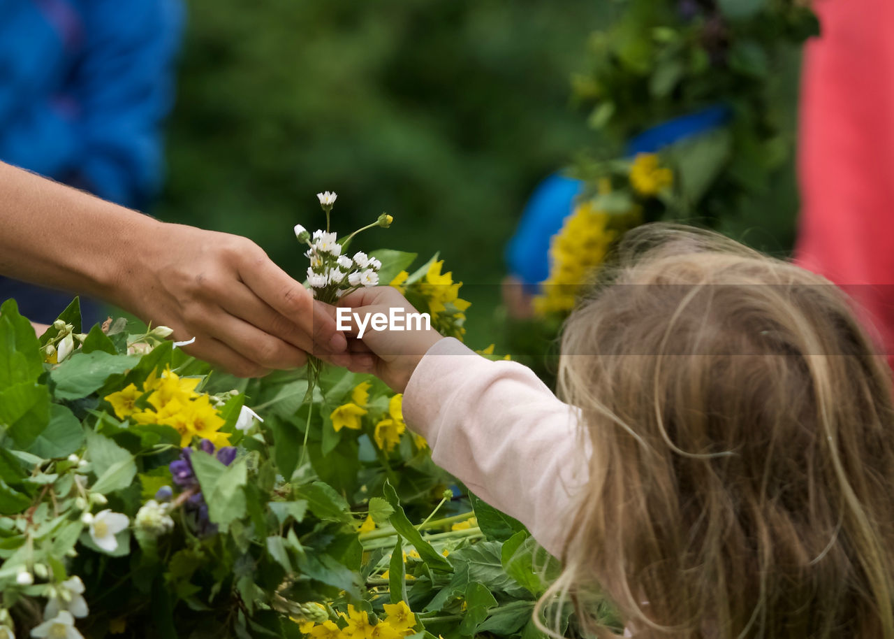 Close-up of girl giving flowers