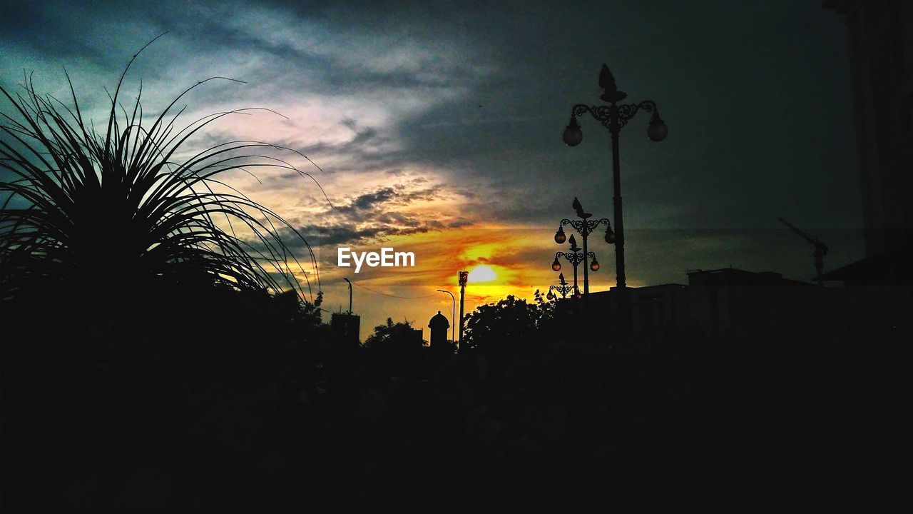 SILHOUETTE TREES AND PLANTS AGAINST ORANGE SKY