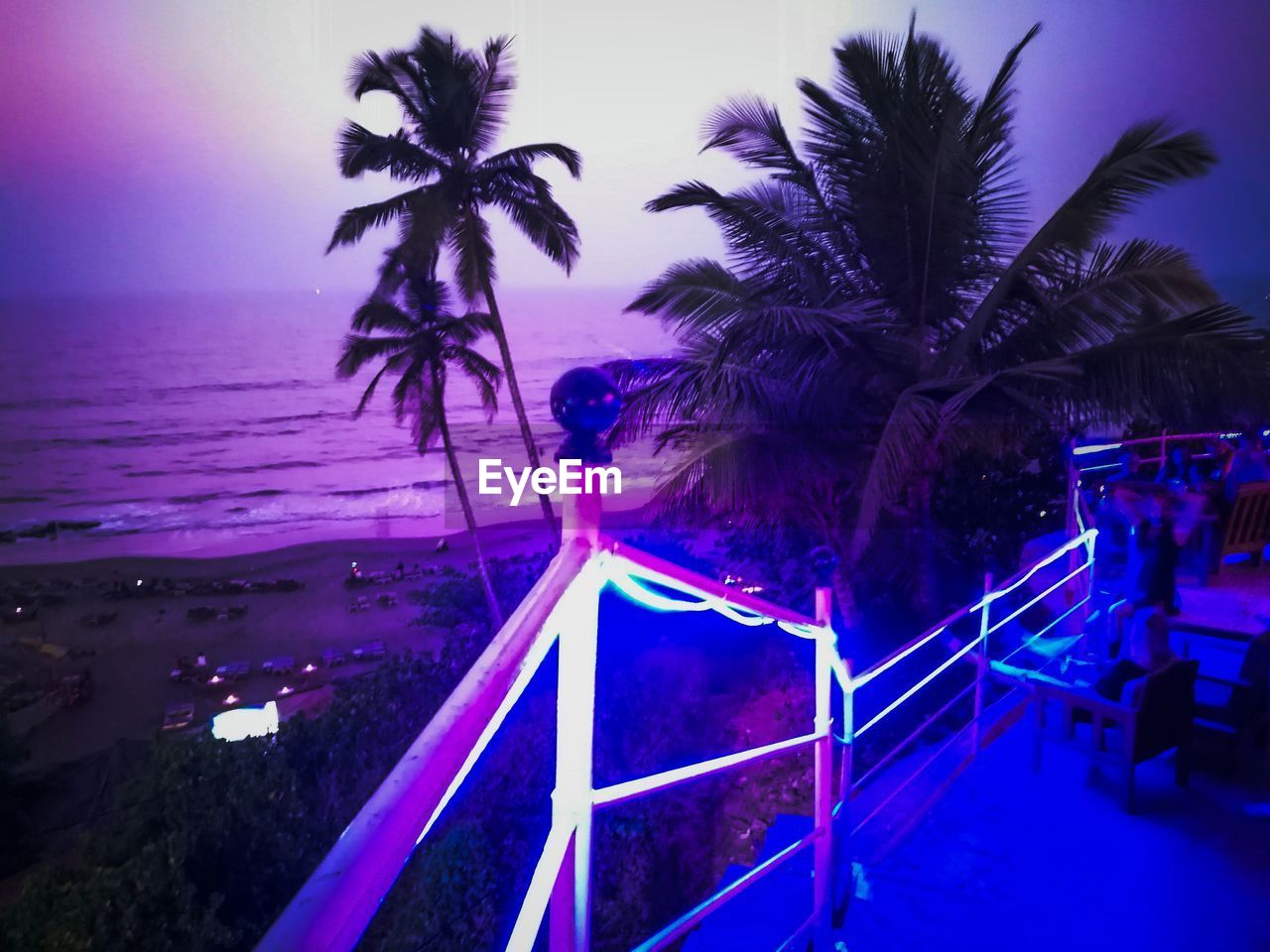 PALM TREES ON BEACH AT NIGHT