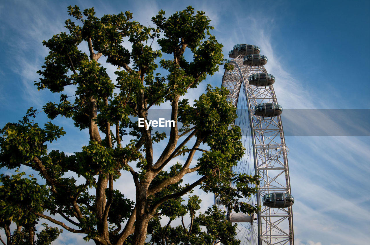 Low angle view of tree by ferris wheel
