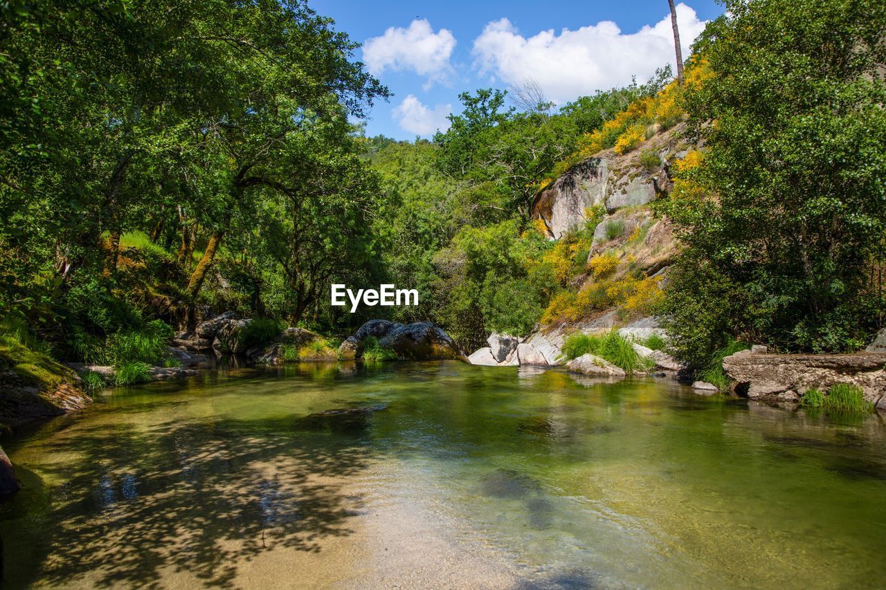 Natural lake