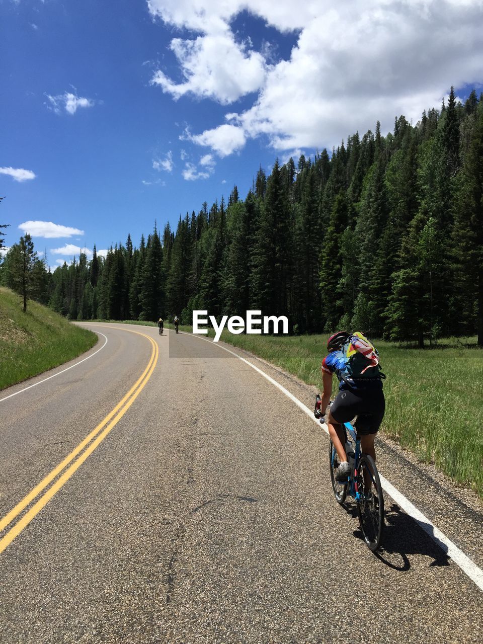 REAR VIEW OF MAN RIDING BICYCLE ON ROAD