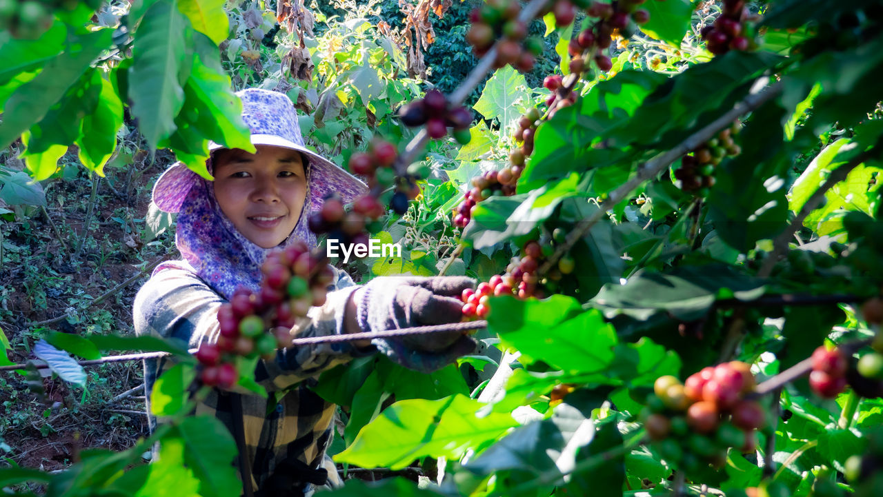Portrait of woman wearing hat working in coffee farm