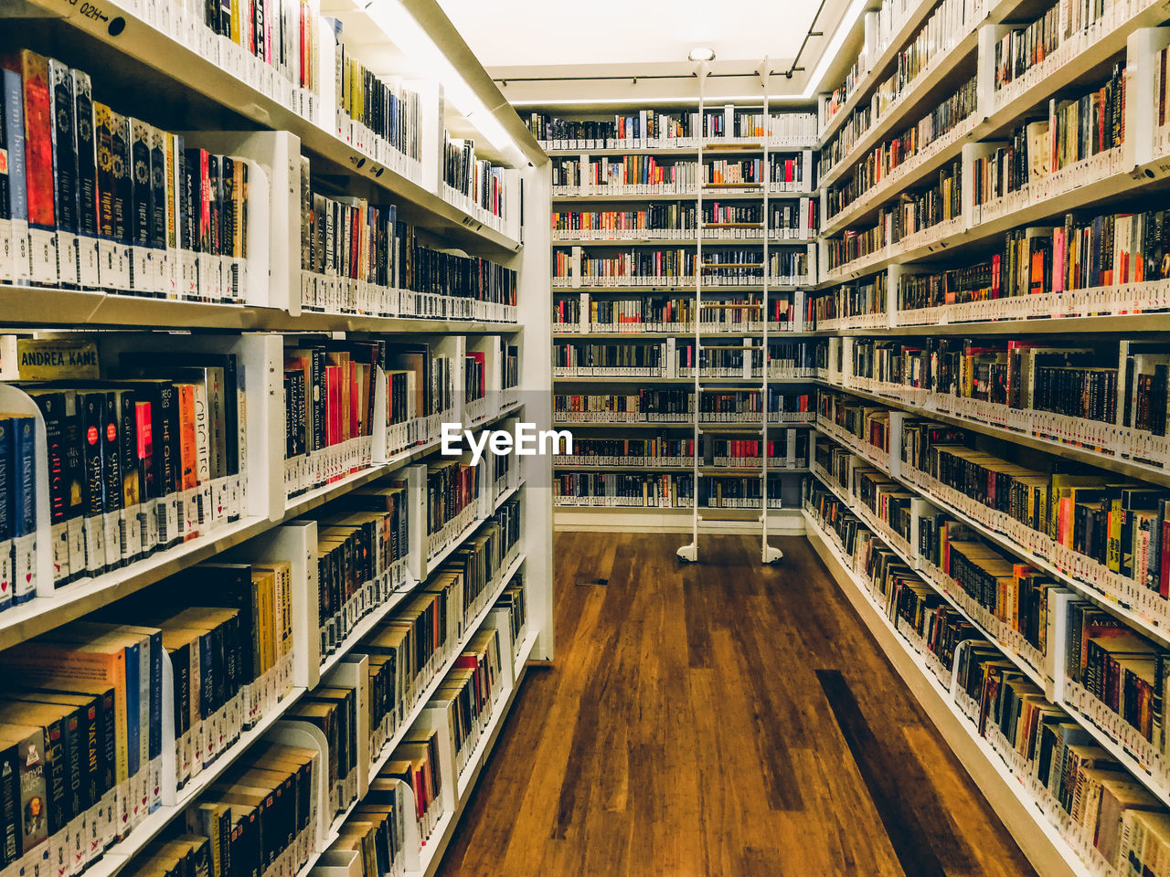 View of books in library