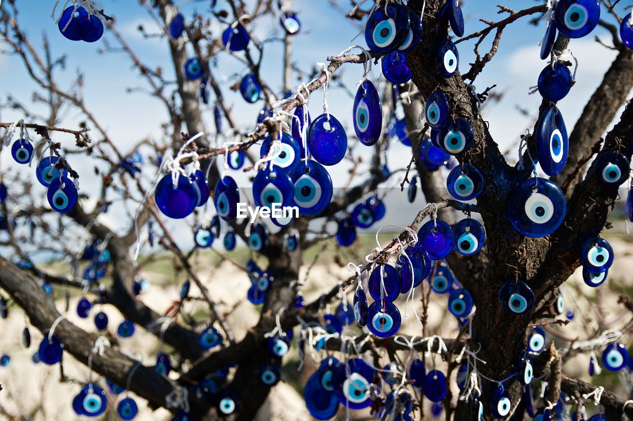 Blue nazars hanging from bare tree