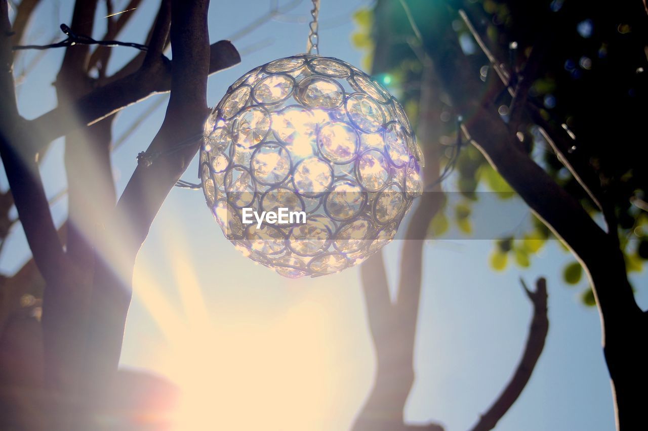 Low angle view of decoration hanging on tree in sunny day