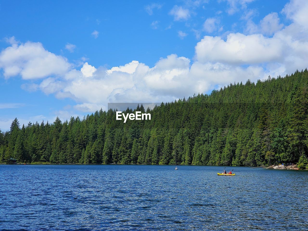 Scenic view of plants by trees against sky with two people canoeing