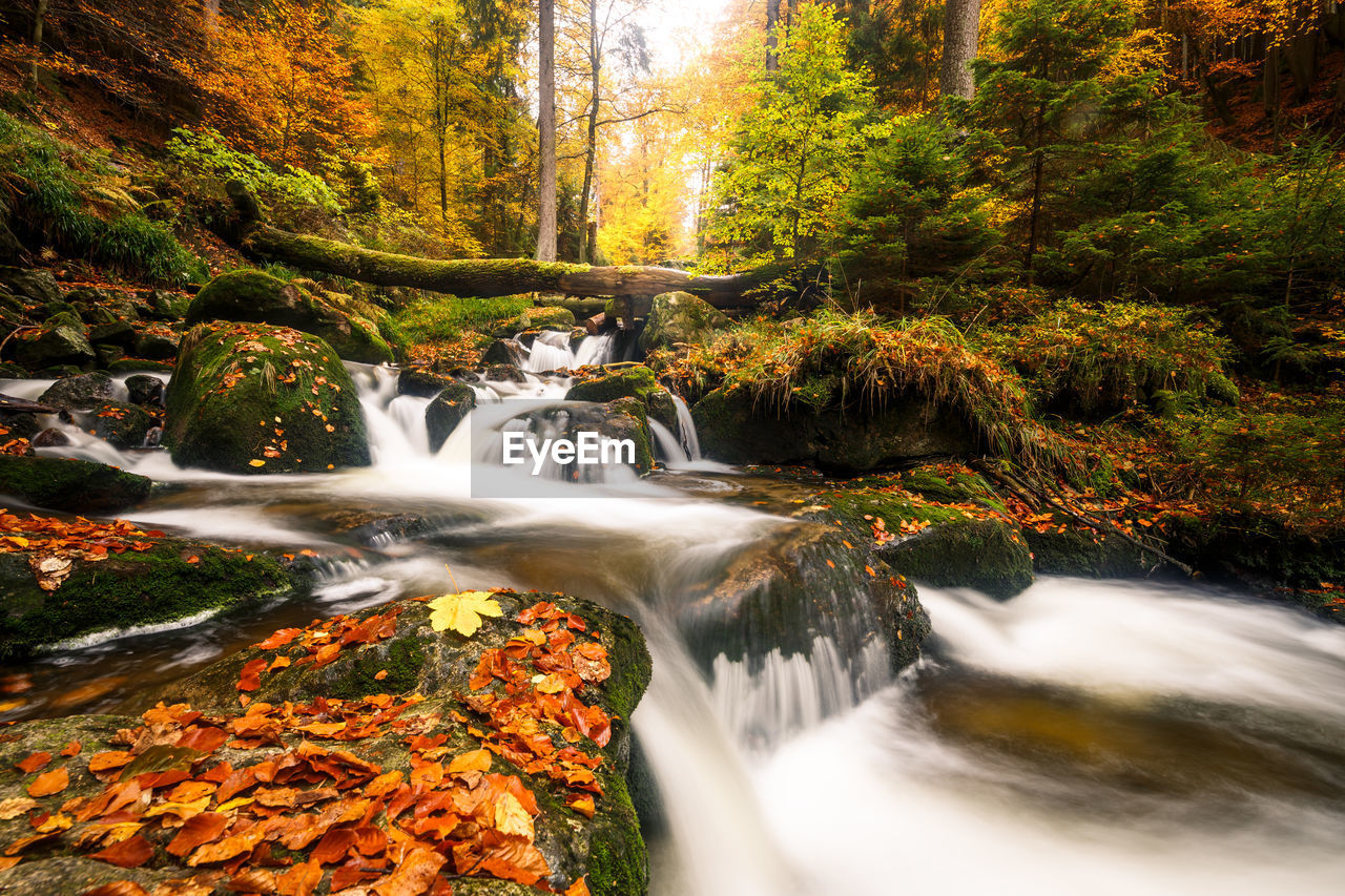 Autumn colors in the ilsetal, harzmountains