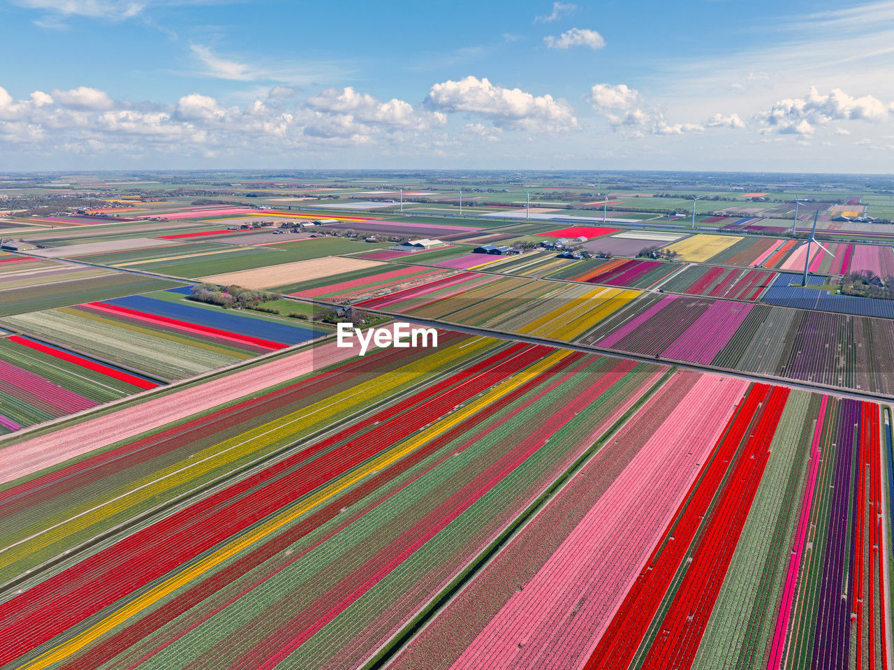 Aerial from tulipfields and wind turbines in the netherlands in spring