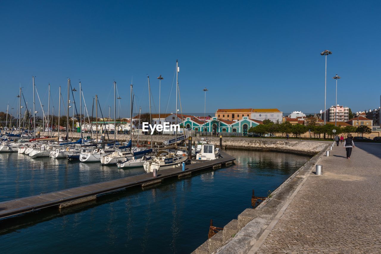 Sailboats moored at harbor against clear blue sky