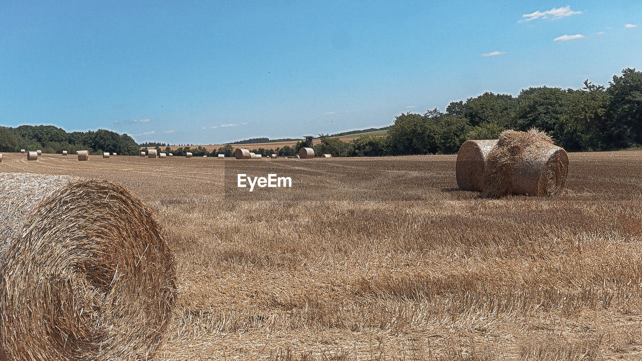 Hay bales on field against sky